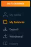How do I check my balances?