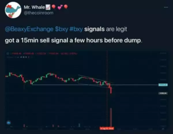 Success with Signals by Beaxy Exchange